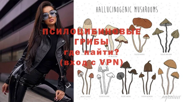 скорость Кинешма