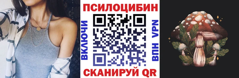 Купить закладки  Обнинск  Галлюциногенные грибы Psilocybe 